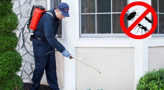Eskifoça Kemirgen İlaçlama böcek ilaçlama ve haşere kontrolü — ilaclama-tr.com